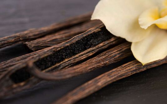 Bär & Karrer Advised DSM-Firmenich on the Sale of the Majority of its Indirect Stake in Robertet