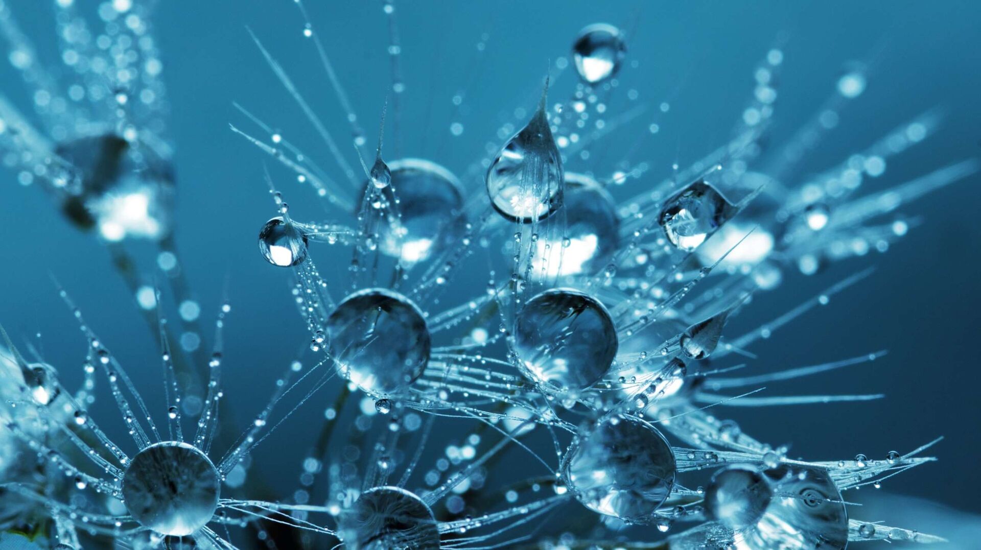 11 August 2023 | Deals & Cases