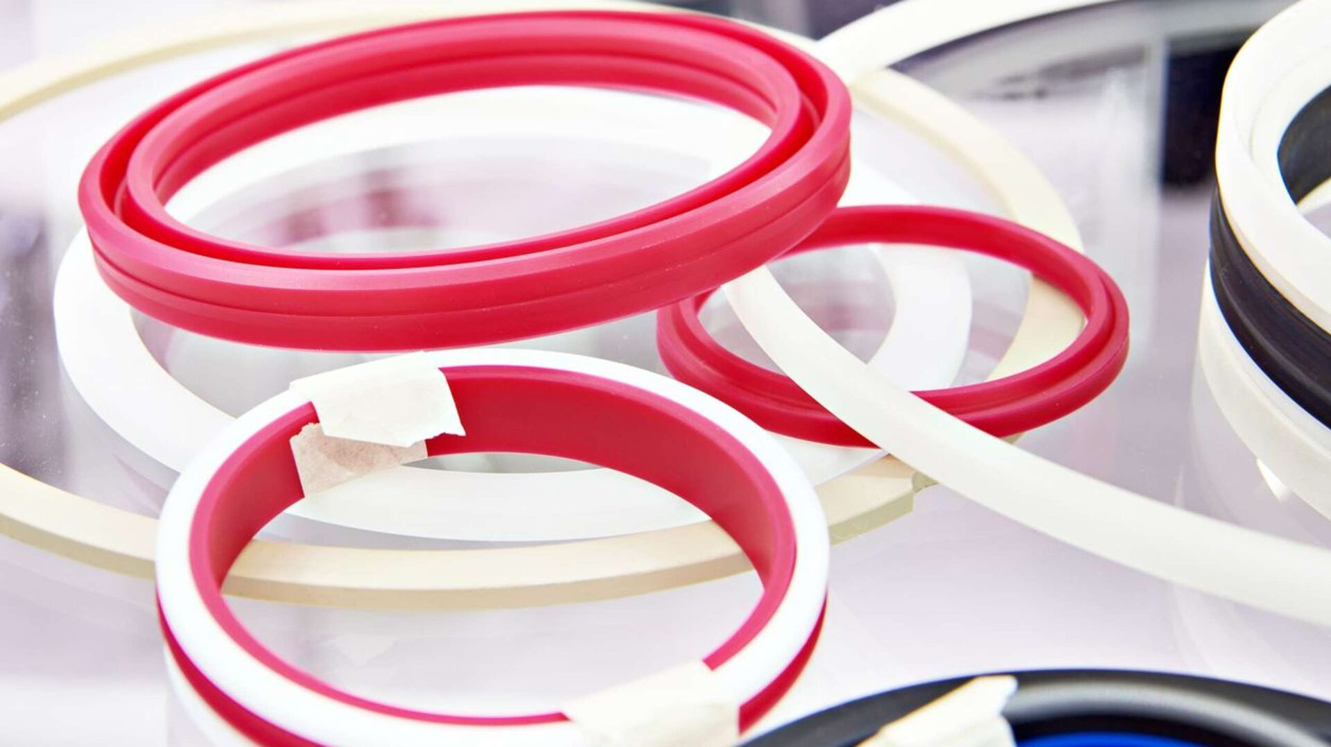 25 November 2024 | Deals & Cases