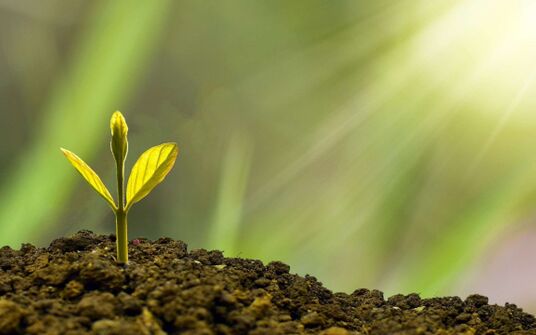 Bär & Karrer Advises SGS on the Signing of an Agreement to Divest Crop Science Operations to Eurofins Scientific