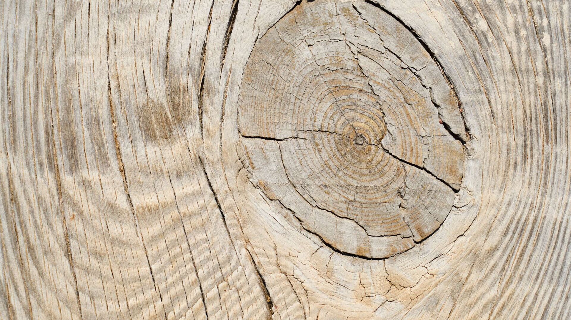 18 juillet 2018 | Deals & Cases