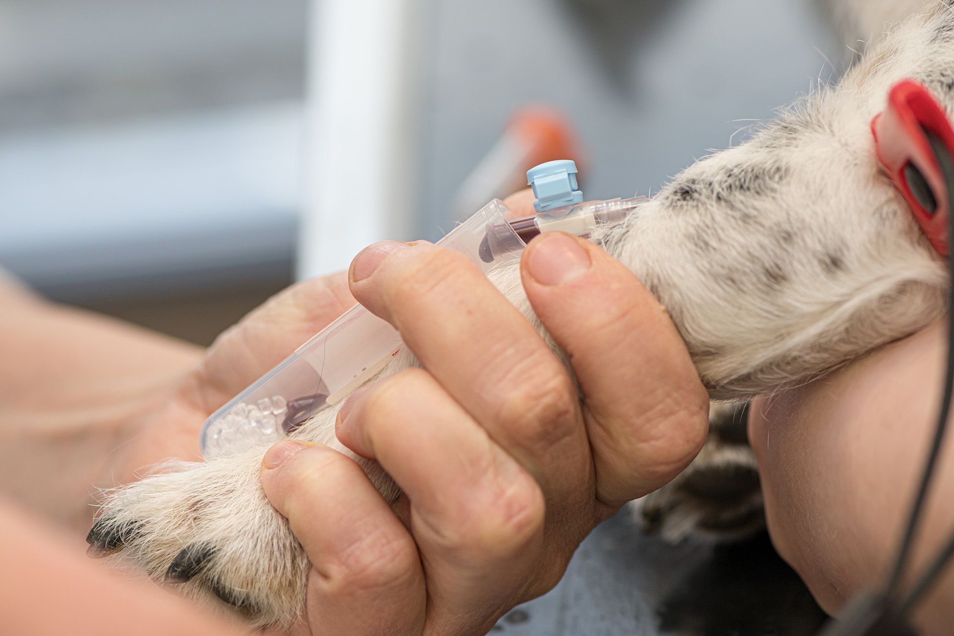 3 January 2017 | Deals & Cases