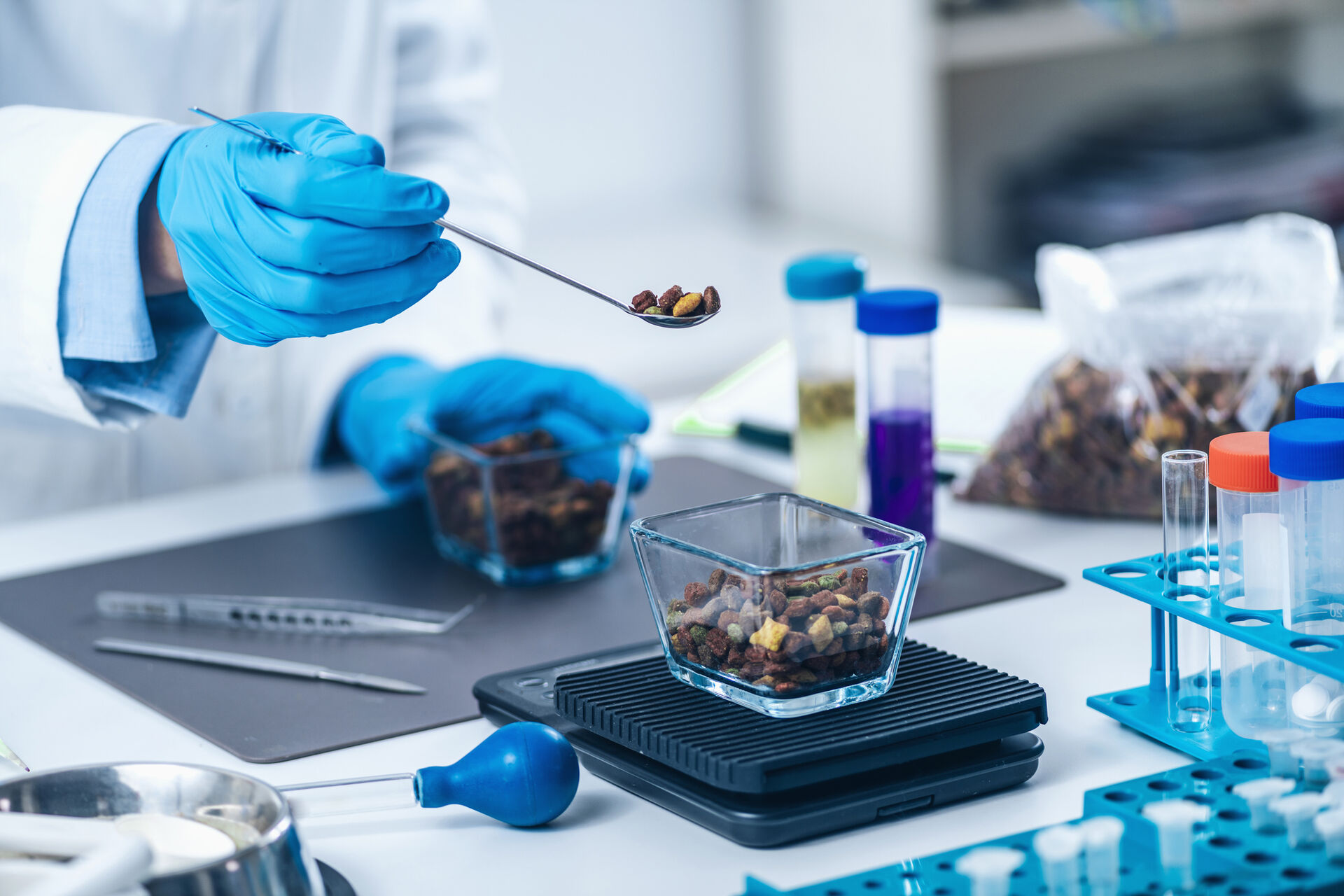 11 February 2025 | Deals & Cases