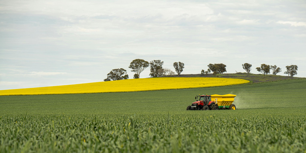 2 juillet 2025 | Deals & Cases